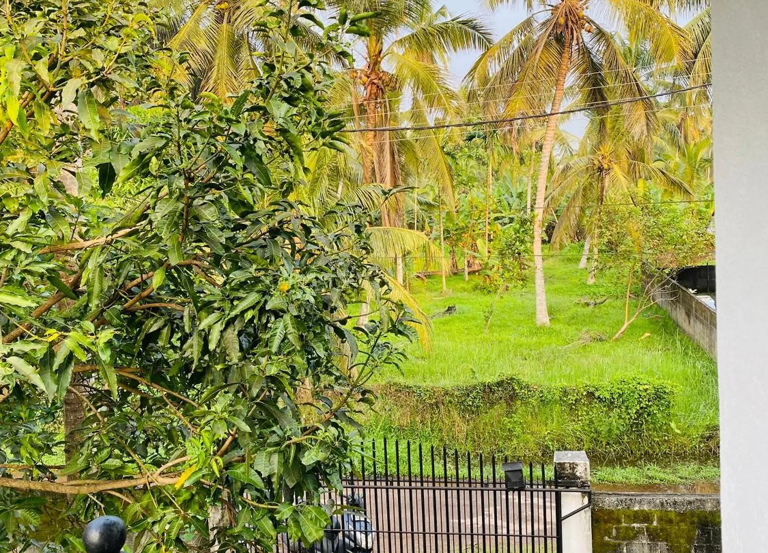 Cheena Homestay Negombo Sri Lanka